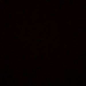 Meet your Posher, Bella